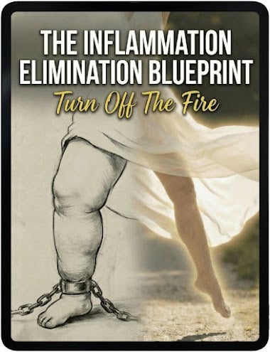Lymph Tonic Bonus 2 - The Inflammation Elimination Blueprint
